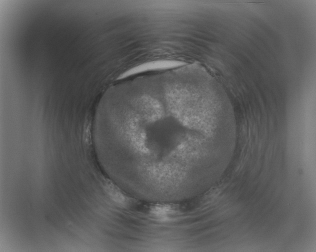 X0000070190177200606091542