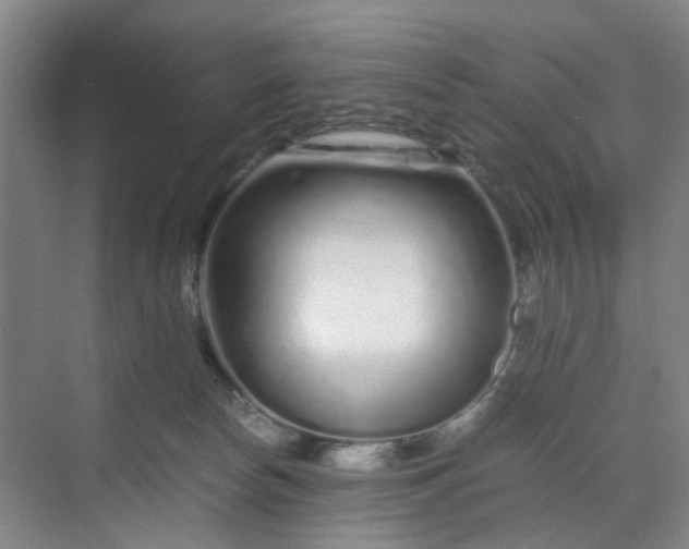 X0000070190178200606091542