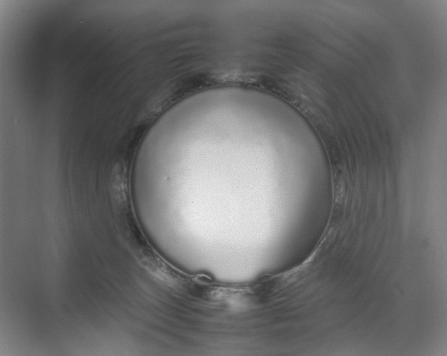 X0000070190179200606091542