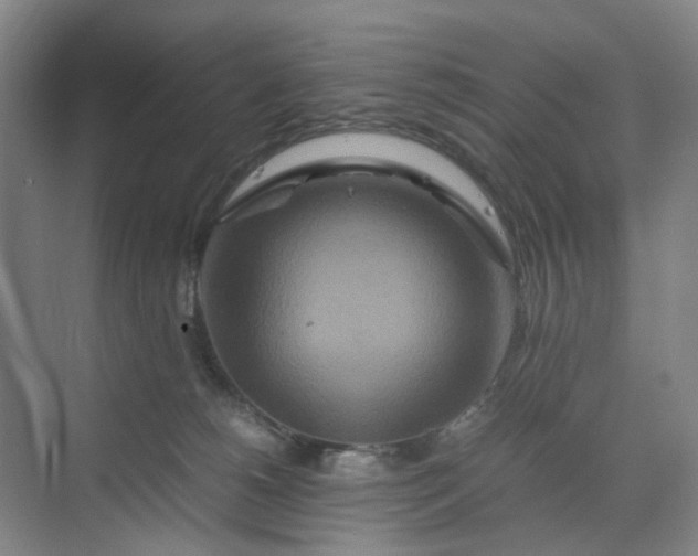 X0000070190180200606091542