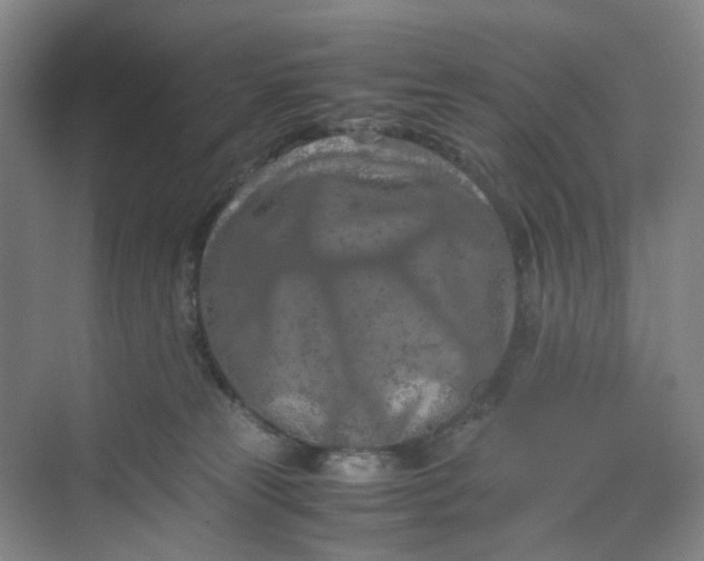 X0000070190181200606091542