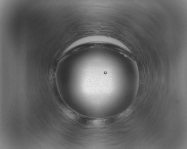 X0000070190184200606091542