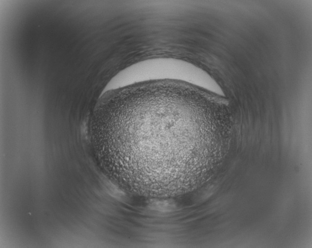 X0000070190185200606091542