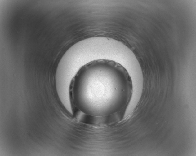 X0000070190188200606091542