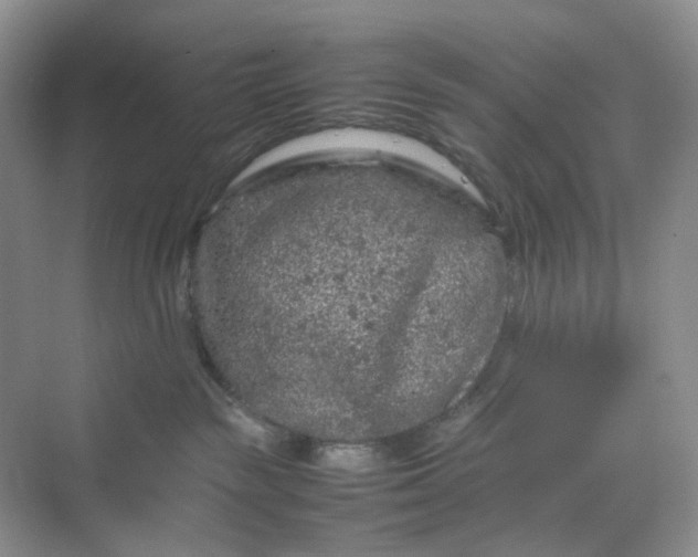 X0000070190189200606091542