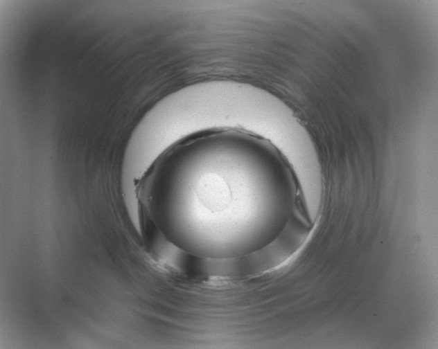 X0000070190190200606091542