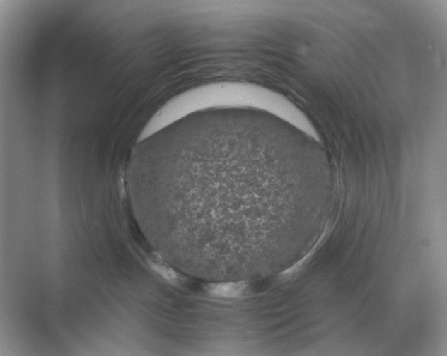 X0000070190191200606091542