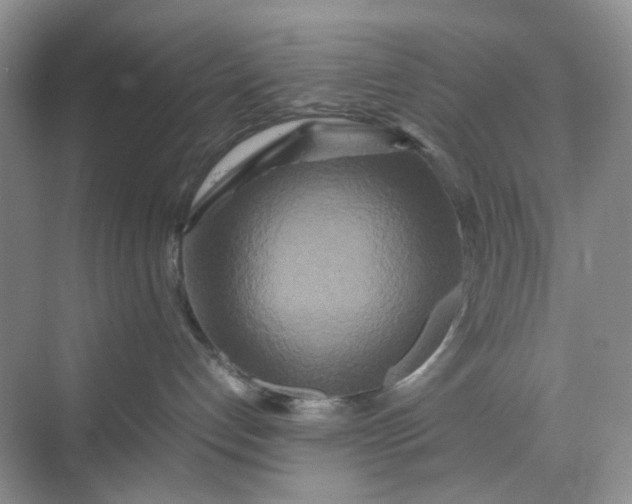 X0000070190192200606091542