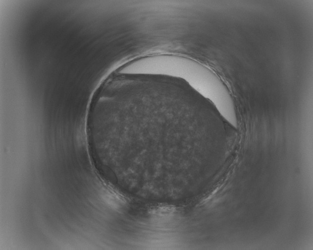 X0000070190196200606091541