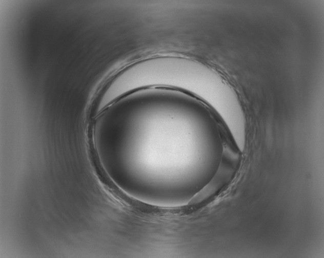 X0000070190197200606091541