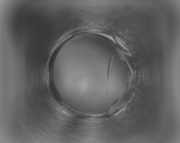 X0000070190198200606091541