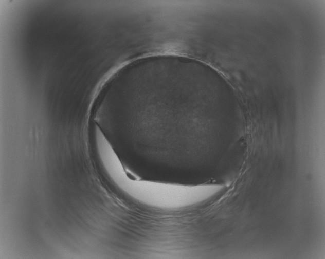 X0000070190200200606091541