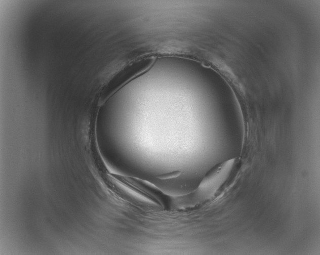 X0000070190201200606091541