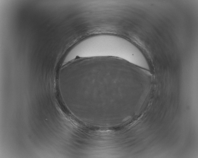 X0000070190202200606091541