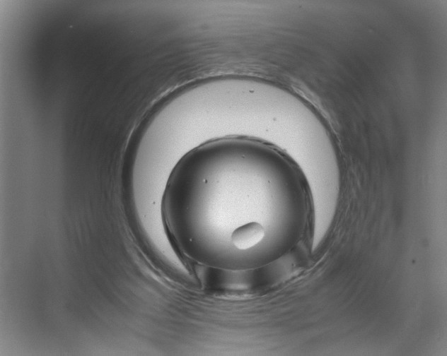 X0000070190203200606091541