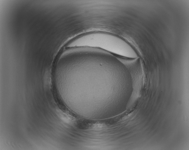 X0000070190204200606091541