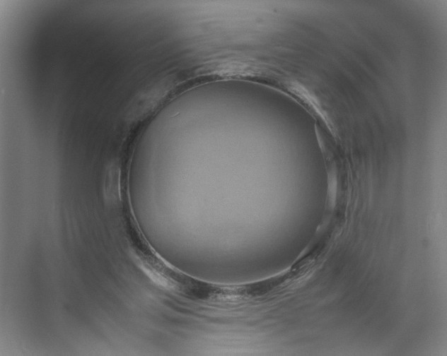 X0000070190205200606091541