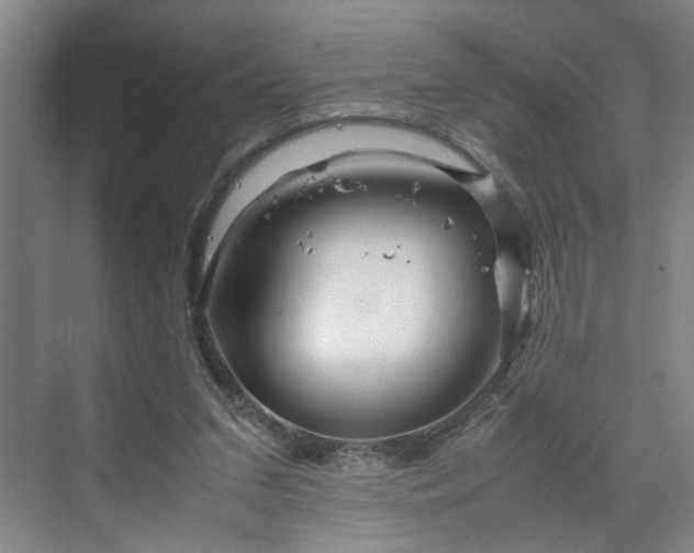 X0000070190207200606091541