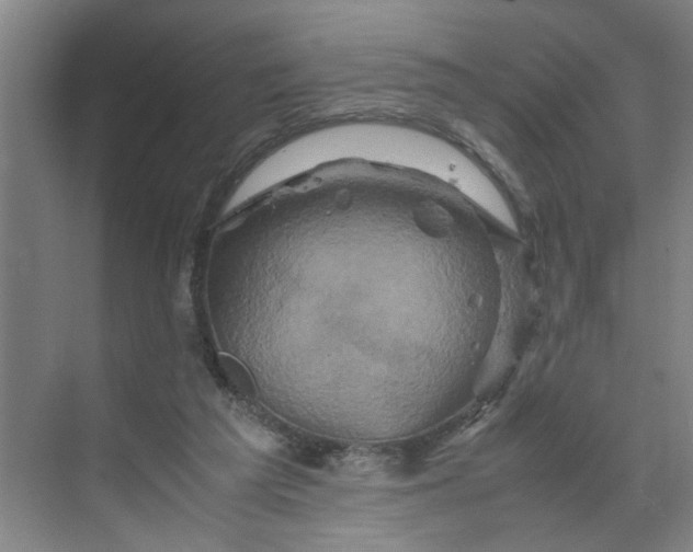 X0000070190209200606091541