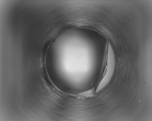 X0000070190210200606091541