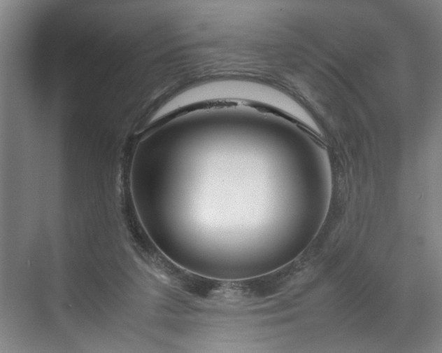 X0000070190211200606091541