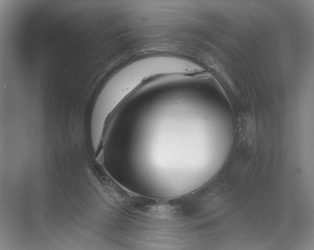 X0000070190212200606091541