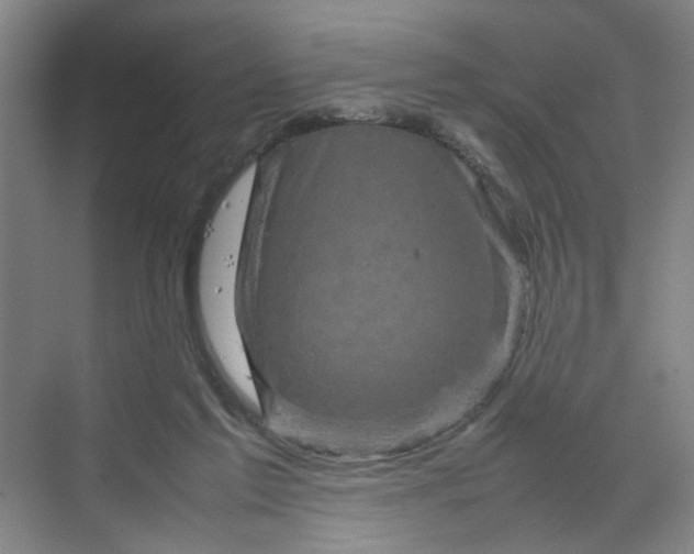 X0000070190213200606091541