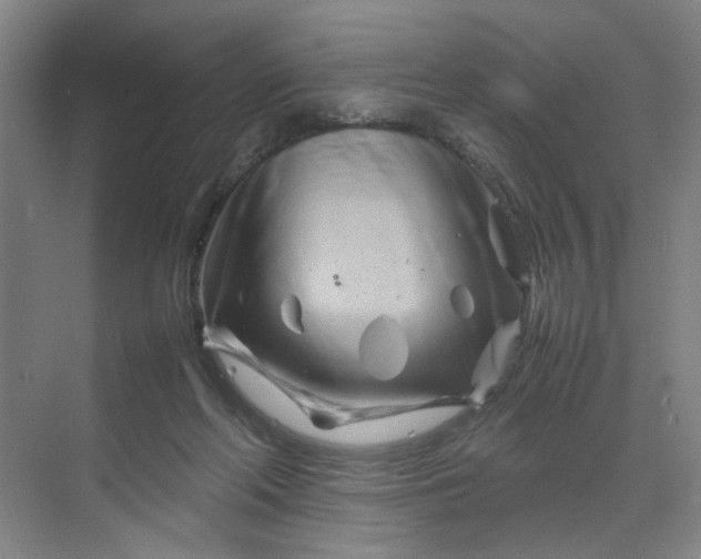 X0000070190214200606091541