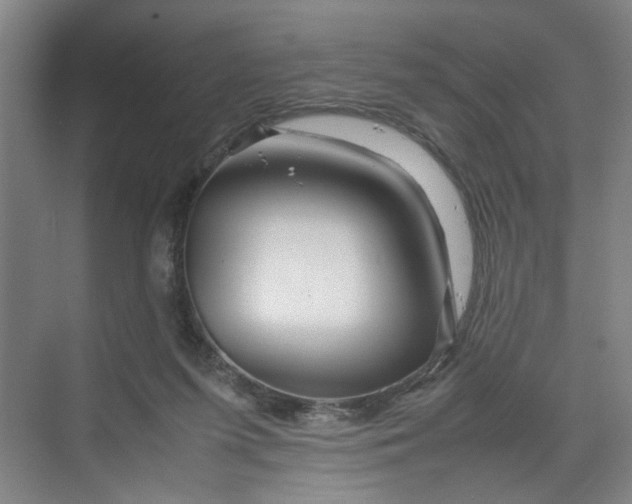 X0000070190215200606091541