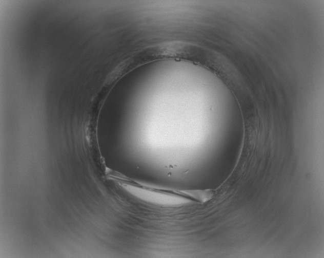 X0000070190216200606091541