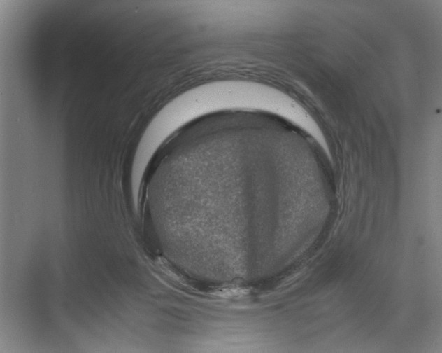 X0000070190217200606091541