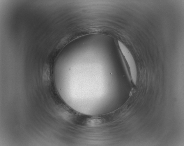 X0000070190220200606091541