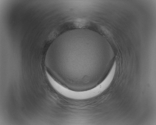 X0000070190221200606091541