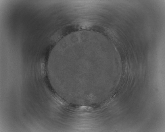 X0000070190222200606091541