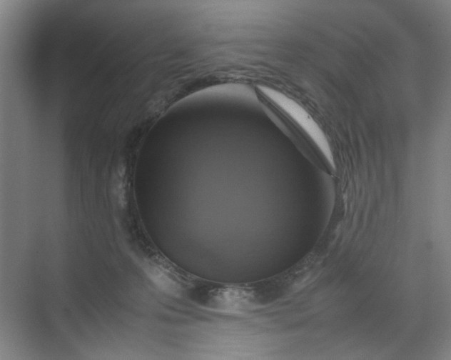 X0000070190223200606091541