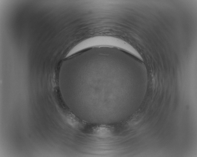 X0000070190224200606091541