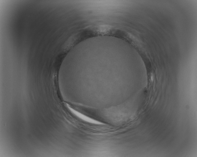 X0000070190225200606091541