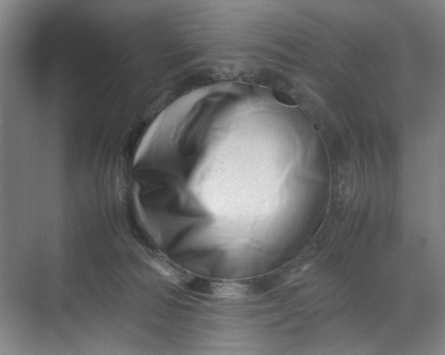 X0000070190226200606091541