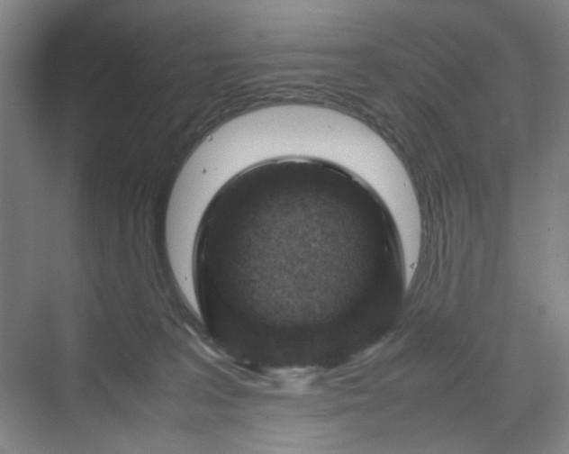 X0000070190227200606091541