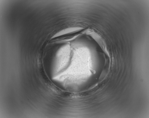 X0000070190228200606091541