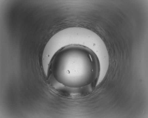 X0000070190229200606091541