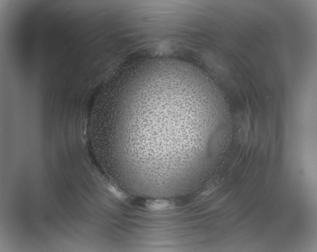 X0000070190230200606091541