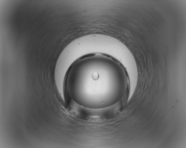 X0000070190231200606091541