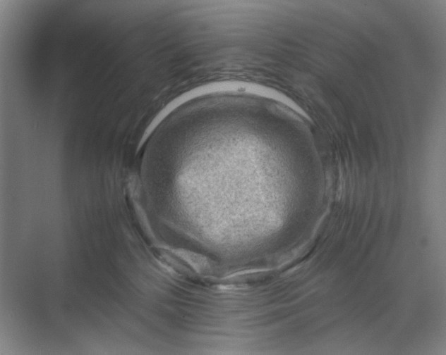 X0000070190232200606091541