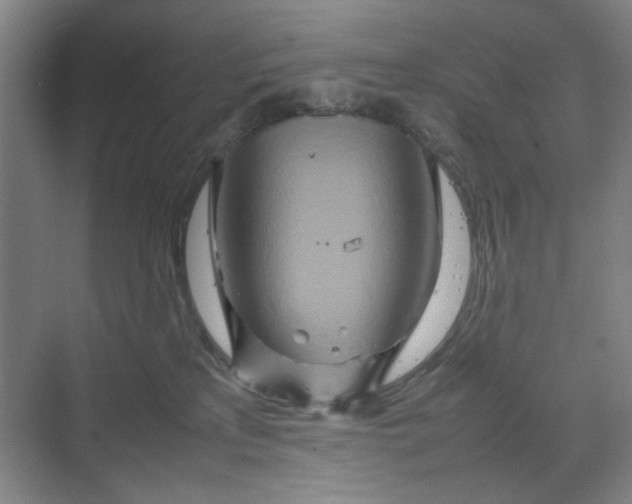 X0000070190233200606091541