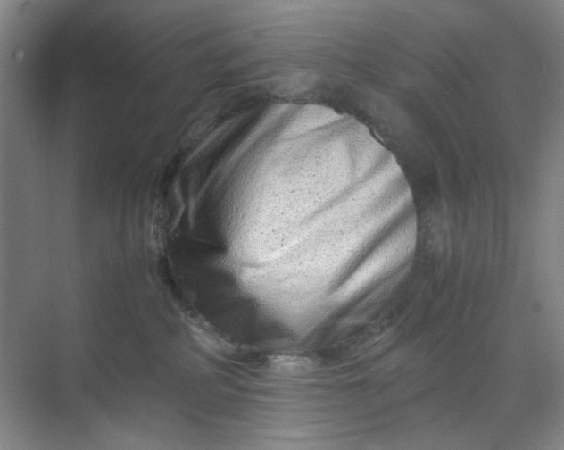 X0000070190234200606091541