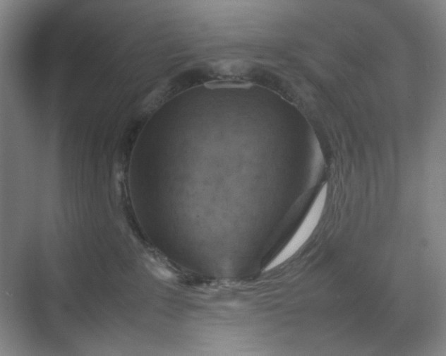 X0000070190235200606091541