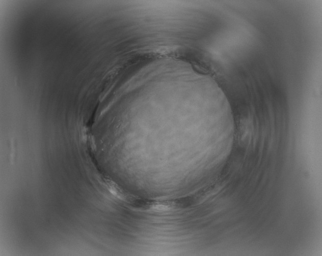 X0000070190236200606091541