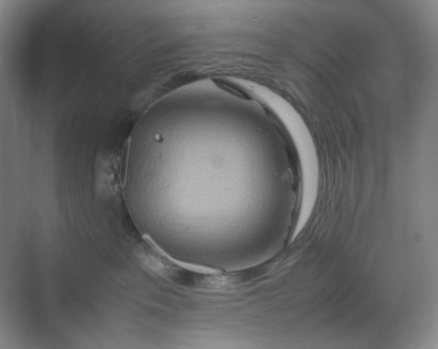 X0000070190237200606091540