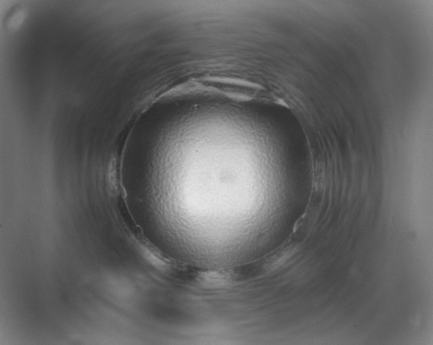 X0000070190238200606091540